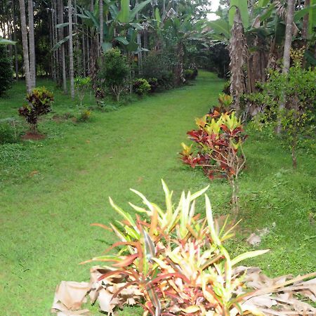 Sathwik Homestay Kumta Ngoại thất bức ảnh