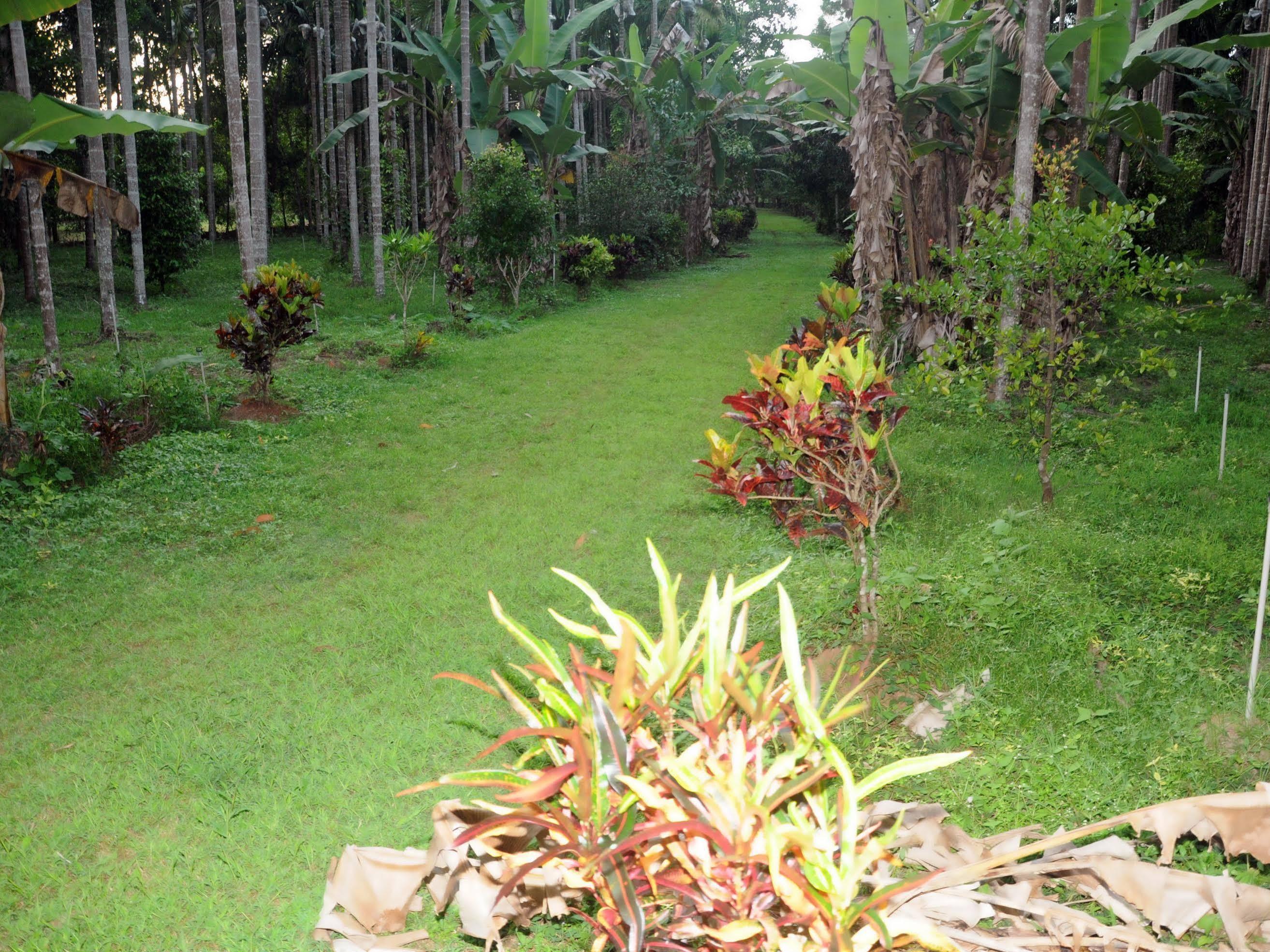Sathwik Homestay Kumta Ngoại thất bức ảnh